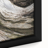 Close-up of textured black wall art with colorful natural elements on a framed canvas, ideal for living room decor.