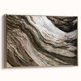 Framed canvas featuring a close-up landscape painting in muted earth tones, ideal for bedroom wall art.