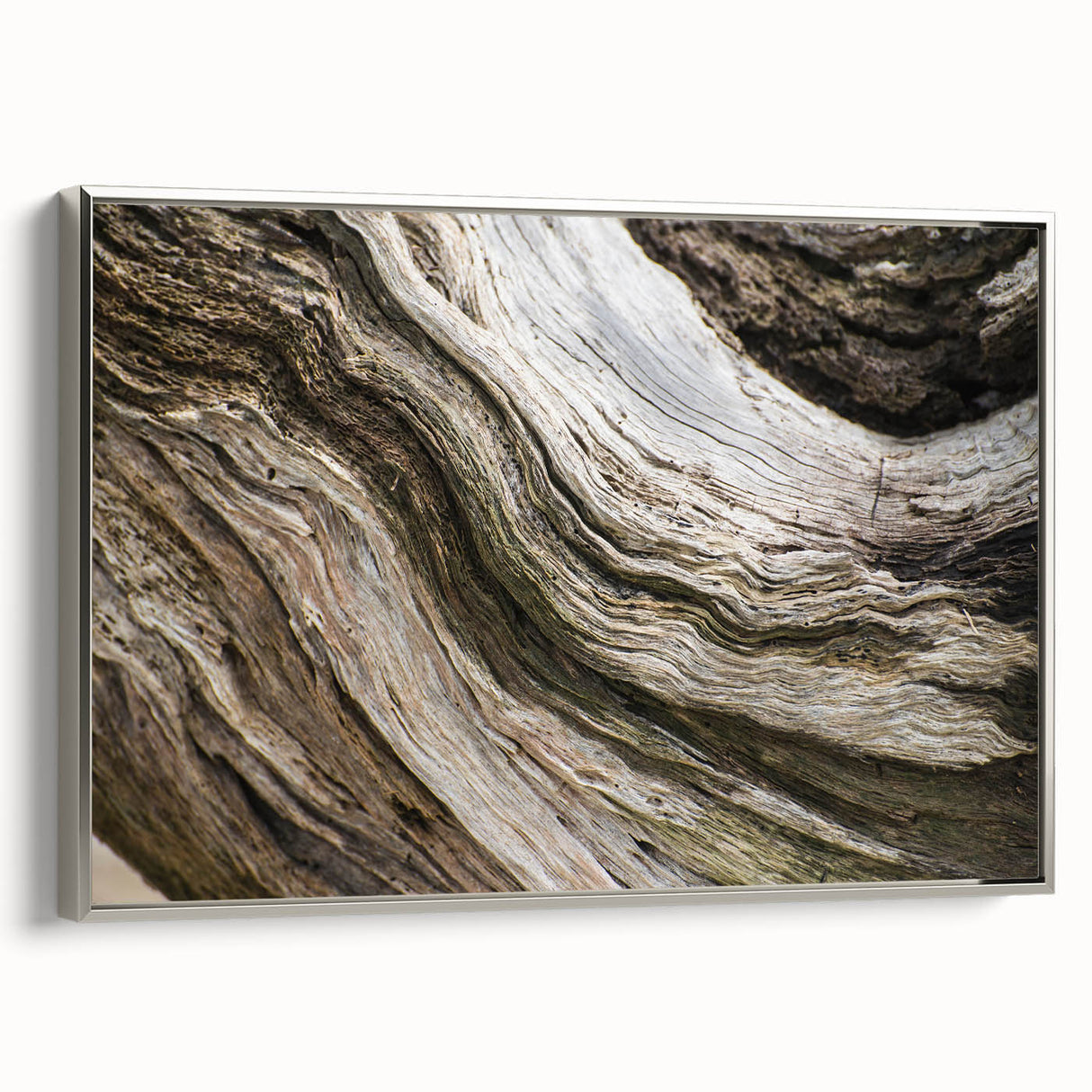 Framed canvas featuring a vintage-style landscape painting with vibrant natural elements on a black background.