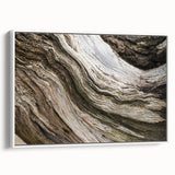 Vintage poster art of vibrant, colorful natural elements on a large framed canvas, suitable for living room decor.