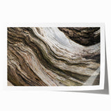 Extra large rolled print featuring close-ups of natural elements in muted green and brown tones.