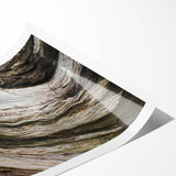 Extra large wall art featuring line art flowers in black and white on rolled canvas, ideal for large living room decor.