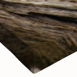 Large art canvas featuring a black and white close-up of natural elements, ideal for bedroom wall decor.