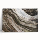 Black and white close-up photo of natural elements on stretched canvas, ideal for kitchen wall art.