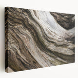 Close-up image of natural elements on stretched canvas, featuring earthy green and brown tones.
