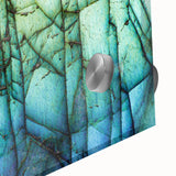 Large abstract wall art featuring natural elements in muted earth tones, acrylic glass, ideal for dining room ambiance.