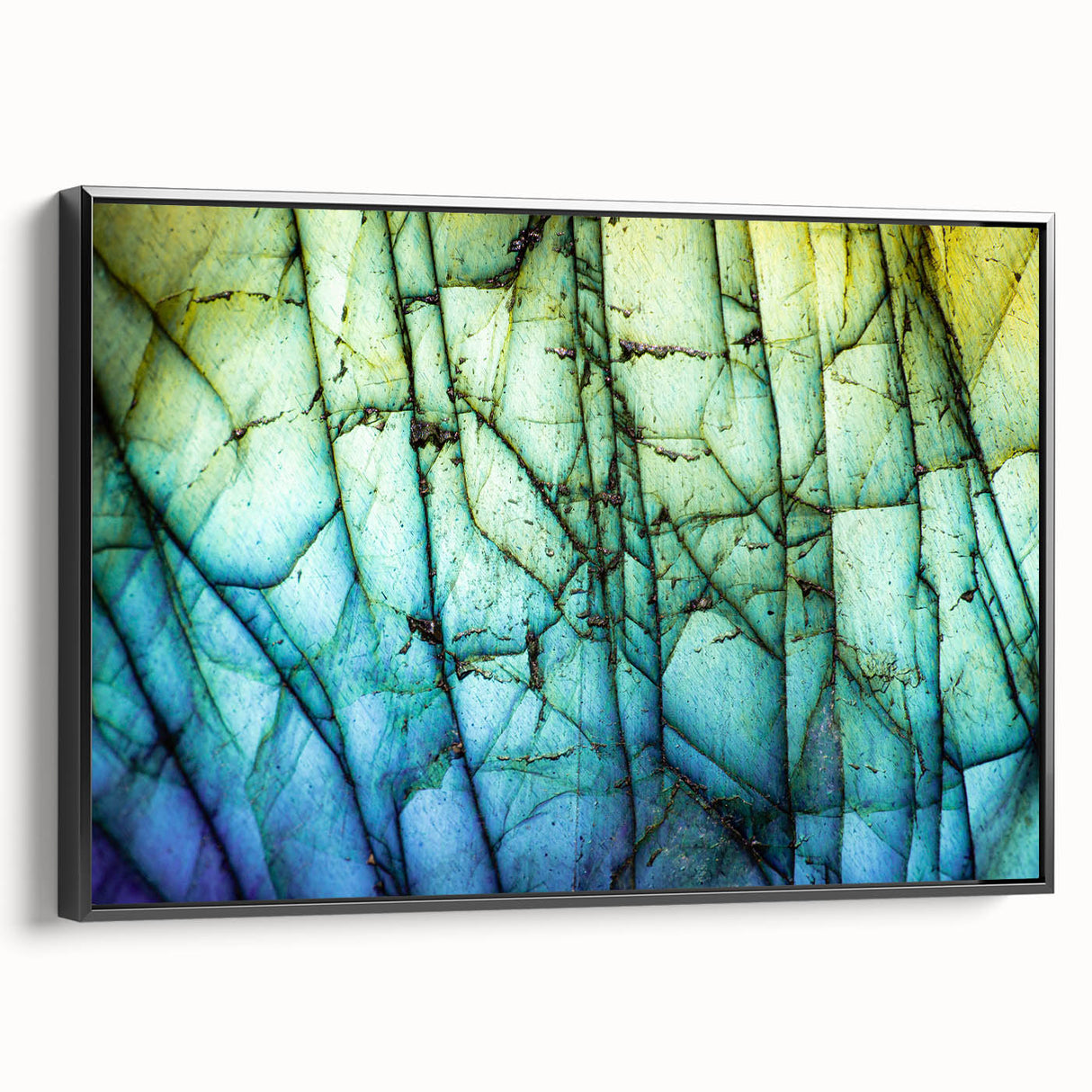 Black and white framed canvas featuring a close-up landscape of natural elements, ideal for bedroom wall decor.