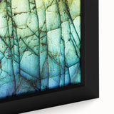 Framed canvas featuring a close-up of natural elements in black with colorful, textured details, ideal for living room decor.