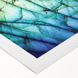 Art deco poster featuring a close-up of natural elements in muted green and brown tones, printed on rolled canvas.