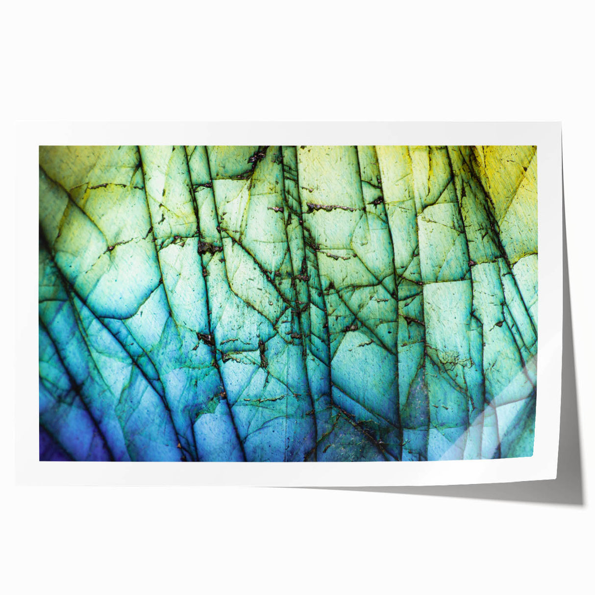 Extra large rolled print featuring close-up floral art in soft pastel shades, ideal for dining room or bathroom wall decor.