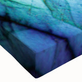 Black and white landscape art painting on stretched canvas, featuring a close-up of natural elements.