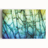 Black and white close-up photo of natural elements on stretched canvas, ideal for kitchen wall art.