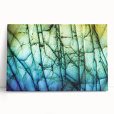 Black and white close-up photo of natural elements on stretched canvas, ideal for kitchen wall art or bedroom ambiance.