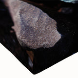 Black and white landscape art painting on stretched canvas, featuring a detailed close-up of natural elements.