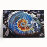 Close-up black and white photo of natural elements on stretched canvas, ideal for kitchen wall art.