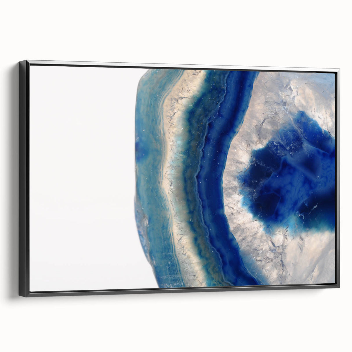 Black and white framed canvas featuring a close-up landscape, ideal for bedroom wall art.