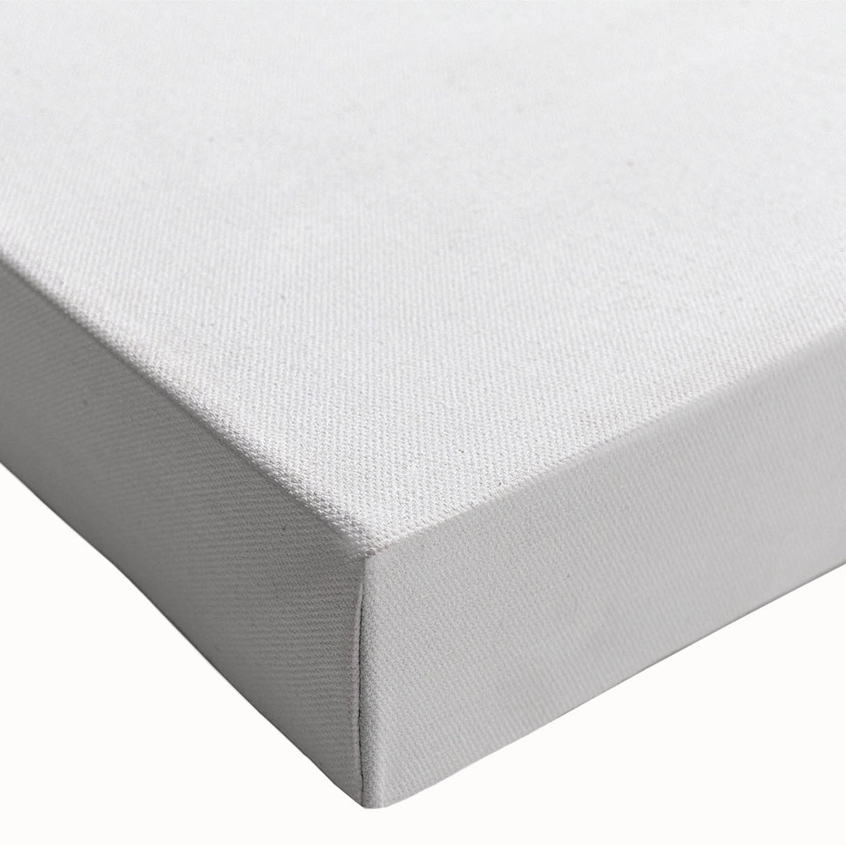 Large art canvas featuring a black and white close-up of natural elements, ideal for bedroom wall decor.