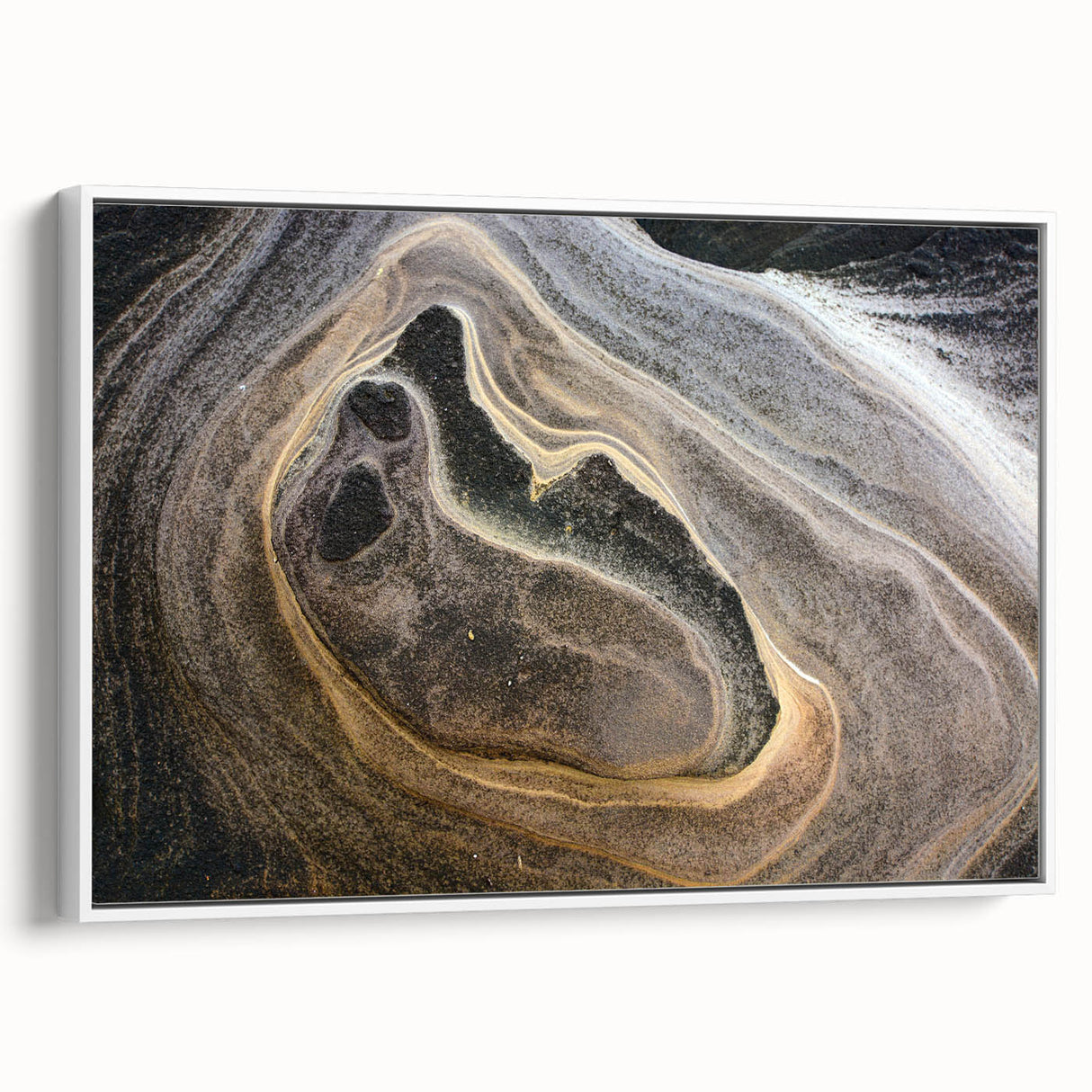 Vintage poster art of natural elements in vibrant colors on a large framed canvas, ideal for living room decor.