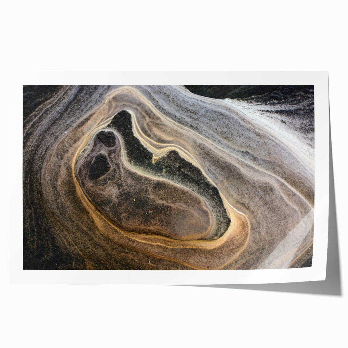 Extra large rolled print featuring close-ups of natural elements in soft green and brown tones.