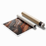 Extra large rolled print featuring close-up of dew on vibrant green leaves, ideal for classy bathroom wall art.