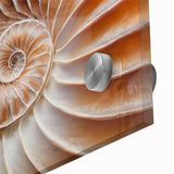 Large abstract wall art on acrylic glass featuring textured natural elements in earth tones, ideal for dining room ambiance.