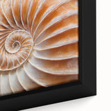 Extra large framed canvas featuring a close-up of natural elements in black with colorful, textured details.