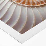 Art deco poster featuring a close-up of natural elements in muted green and brown tones on rolled canvas.