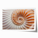 Close-up floral art on a rolled print featuring soft pink and white blossoms, ideal for dining room or bathroom decor.