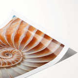 Extra large wall art featuring line art flowers in black on white, rolled print format, suitable for large living room decor.