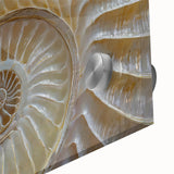 Large abstract wall art in muted earth tones on acrylic glass, ideal for dining room decor.