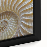 Extra large black wall art featuring a close-up of colorful, textured natural elements on framed canvas.