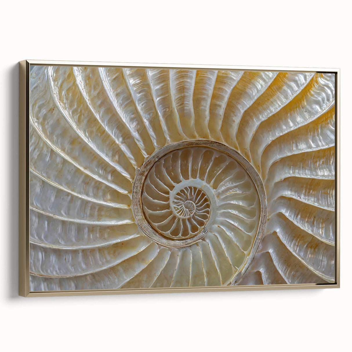 Framed canvas wall art featuring a close-up landscape in muted earth tones, ideal for bedroom decor.