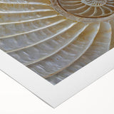 Art deco poster featuring a close-up of natural elements in muted earth tones, printed on rolled canvas.