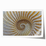 Extra large rolled print of close-up floral elements in soft pastel shades, suitable for dining room or bathroom wall art.