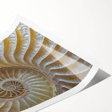 Extra large wall art featuring line art flowers in black on white, rolled print, suitable for large living room decor.