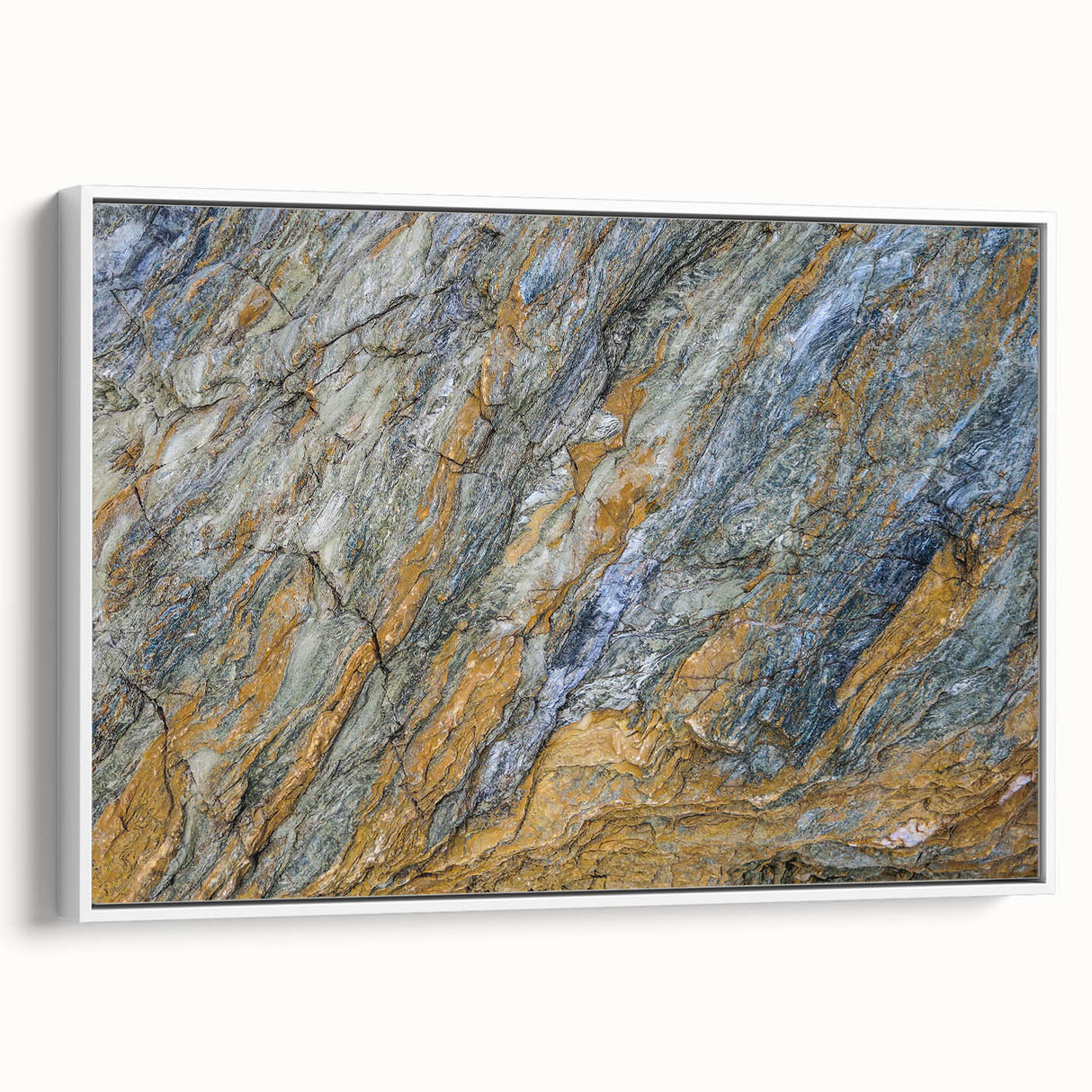 Vintage poster art of colorful natural elements on a large framed canvas, suited for living room decor.
