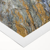 Art deco poster featuring a close-up of natural elements in muted green and brown tones on rolled canvas.