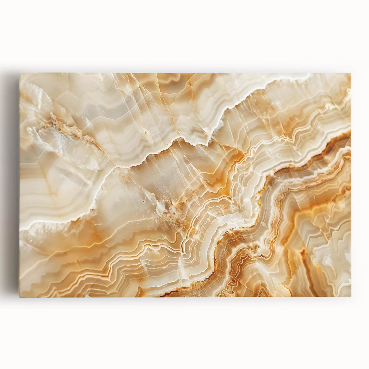 Close-up black and white photo of natural elements on stretched canvas, suitable for kitchen wall art.