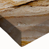 Black and white landscape art painting on stretched canvas, featuring a close-up of natural elements.