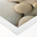 Art deco poster featuring a close-up of natural elements in muted green and brown tones on rolled canvas.