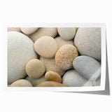 Extra large rolled print featuring close-up of dewy flowers in soft purple and green tones.