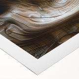 Art deco poster featuring a close-up of natural elements in muted green and brown tones on rolled canvas.