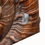 Large abstract wall art on acrylic glass featuring dynamic natural elements in earth tones, ideal for dining room art.