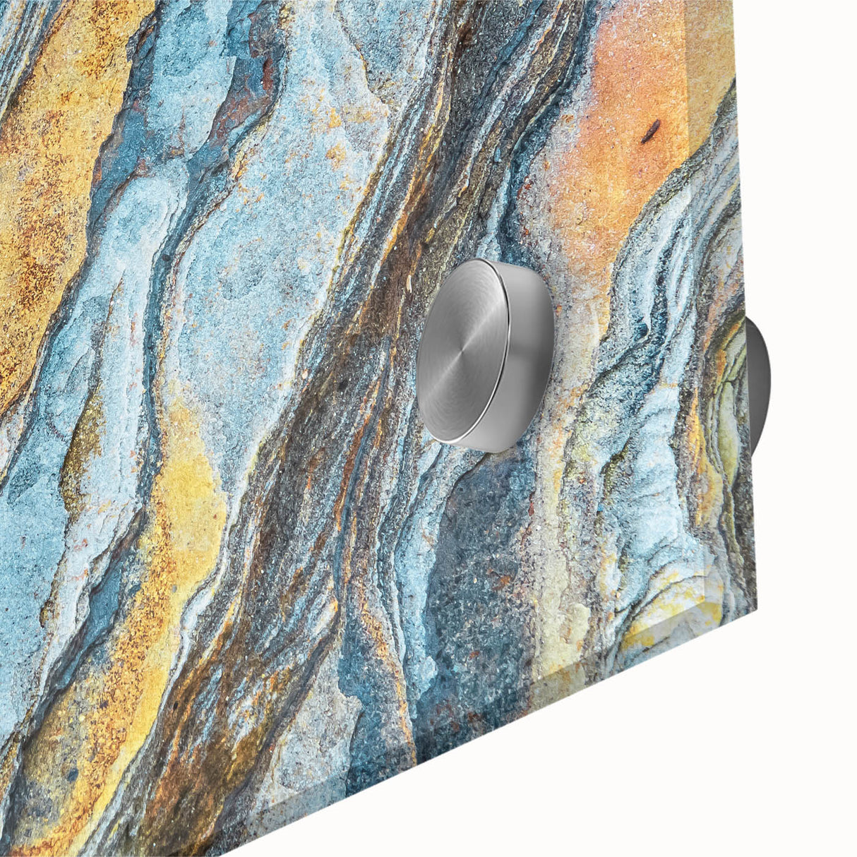 Large abstract wall art on acrylic glass featuring close-up natural elements in muted earth tones.