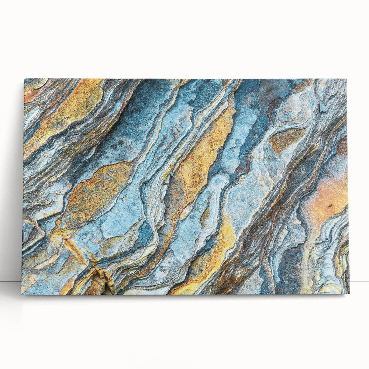 Close-up black and white photo of natural elements on a stretched canvas, suitable as kitchen wall art or for a bedroom.