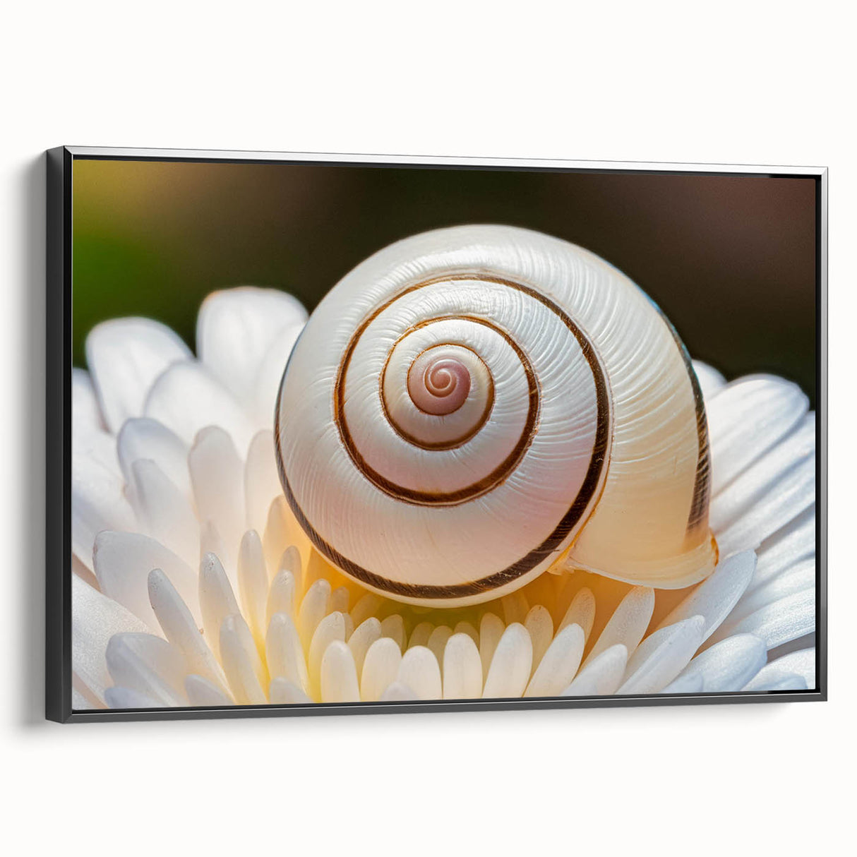 Black and white framed canvas featuring a close-up landscape, ideal for bedroom wall decor.