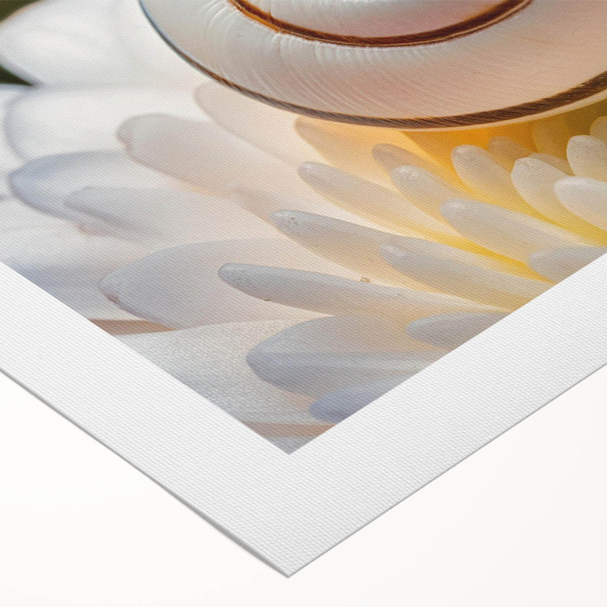 Art deco poster featuring a close-up of natural elements in monochrome, printed on rolled canvas.