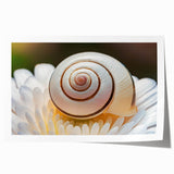 Extra large rolled print of close-up floral elements in soft pastel shades, ideal for art wall dining room or bathroom decor.