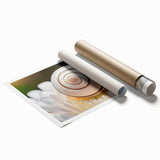 Extra large rolled print featuring close-up floral art in soft pastel shades, ideal for classy bathroom wall art.