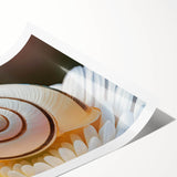 Extra large wall art featuring line art flowers in black on white, rolled print format, suitable for large living room decor.